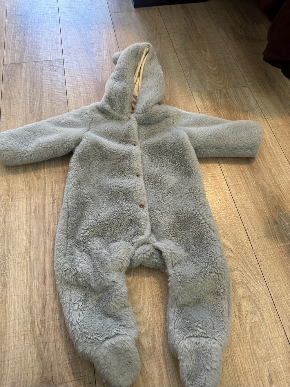 Zara Plush Hooded Fleece One-Piece in Light Gray